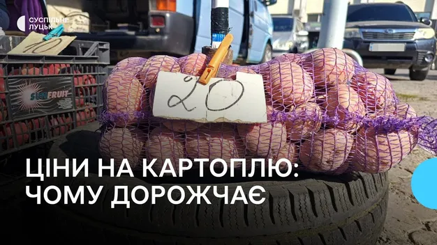 На луцьких ринках дорожчає картопля: назвали причини (фото)