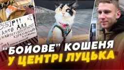 «Заборонений прийом»: у центрі Луцька воїн разом з кошеням збирають на авто (відео)