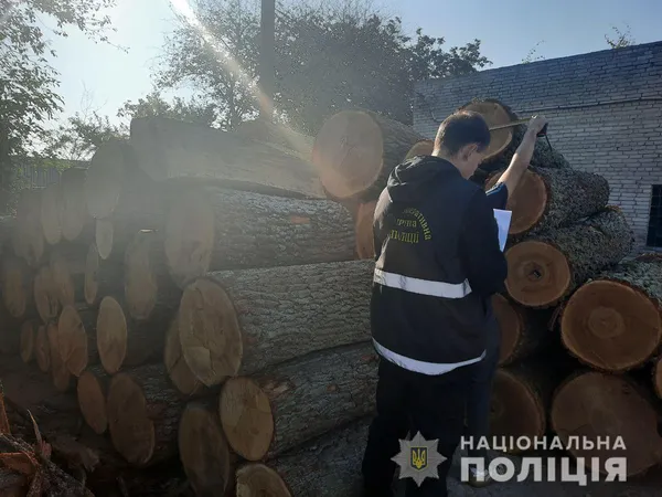 У Луцьку на підприємстві знайшли 60 колод незаконно зрубаного дуба (фото)