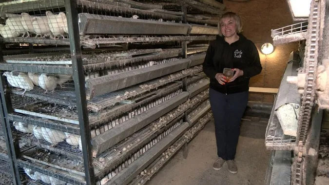 Частину продукції передає госпіталю у Луцьку: волинянка створила перепелину ферму (фото)
