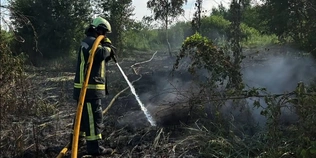На Волині за добу ліквідували 4 пожежі: триває гасіння торфовищ (фото)