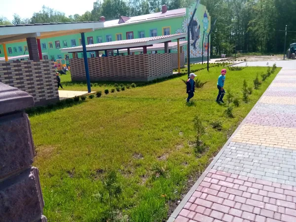 «Живі» гроші,  ремонти, створення парків: як лісівники допомагають громадам на Волині (фото)