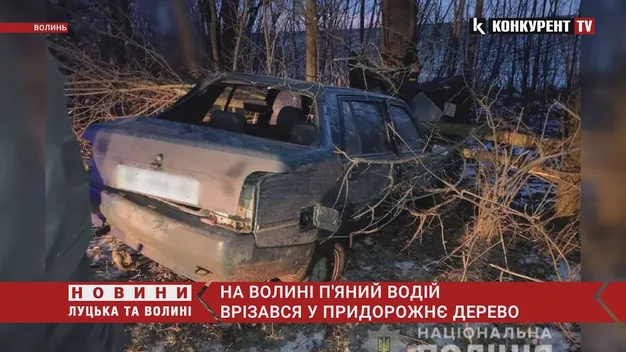 Водій був п'яним: на Волині авто злетіло в кювет і в'їхало в дерево (фото, відео)