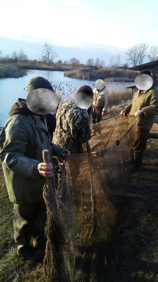 На Волині браконьєри наловили 100 кілограмів риби неводом (фото)