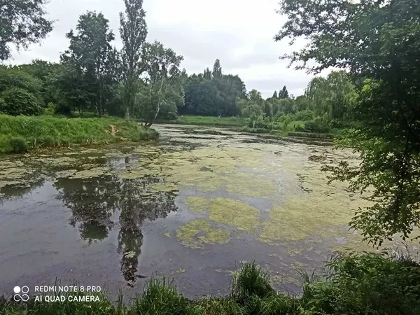 Через вандалів водойма в парку 900-річчя Луцька втратила воду і засмерділа (фото)