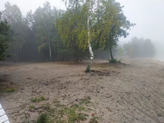 Затягнуло туманом: показали ранок на волинському озері (фото)