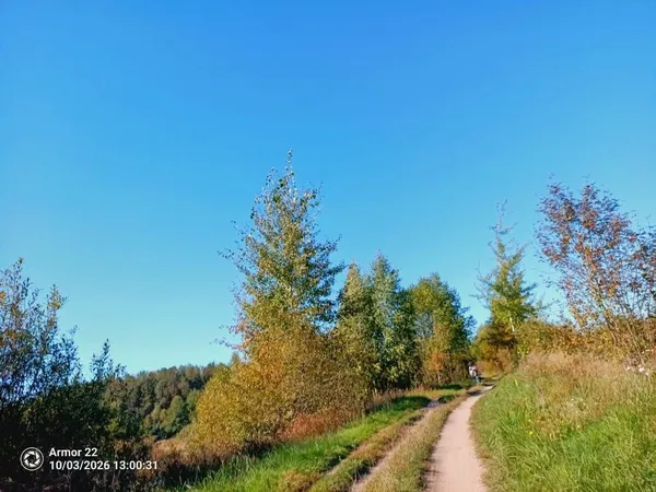 На Волині досліджували дику природу Стоходу: шукали бобрів, а зустріли норку та червонокнижного птаха (фото)