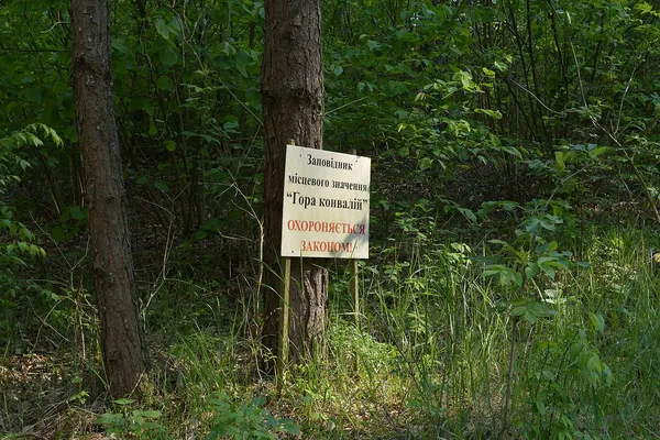 На Волині є «Гора конвалій», де ростуть рідкісні орхідеї (фото)
