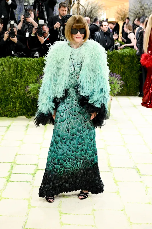 Найкращі образи гостей балу Met Gala 2026 (фото)