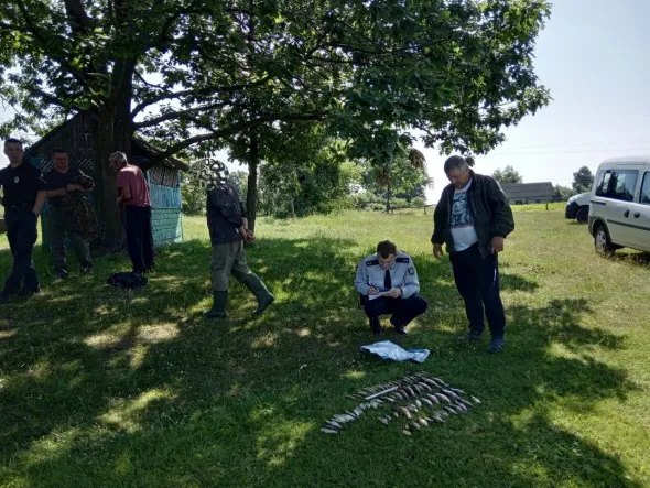 На Волині незаконно виловили понад 60 кілограмів риби (фото)