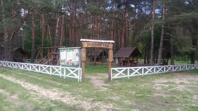 Волинські лісівники прибрали захаращений «Зелений гай» (фото)