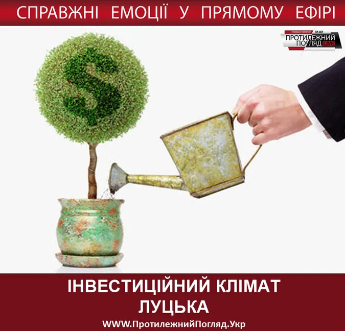 Як привабити та не втратити інвестора?