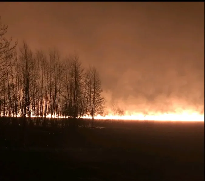 Палало кладовище: на Волині вирують жахливі пожежі (фото)