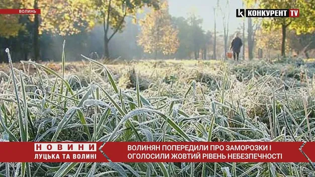 Заморозки на Волині до -5°: оголосили І рівень небезпечності (відео)