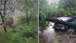 У Львові вирує негода: наслідки зливи в місті Лева (відео)