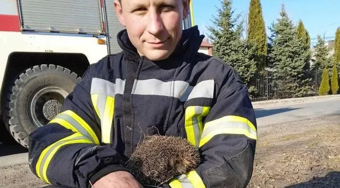 На Волині вогнеборці врятували двох їжачків (фото)
