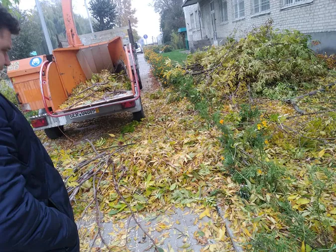 На Ківерцівській у Луцьку порізали дерева і знищили чорнобривці Василя Рижука (деталі)