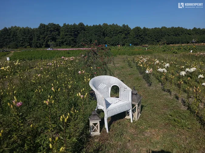 Розпочався фестиваль квітів «Осінь у Волинській Голландії» (фото)