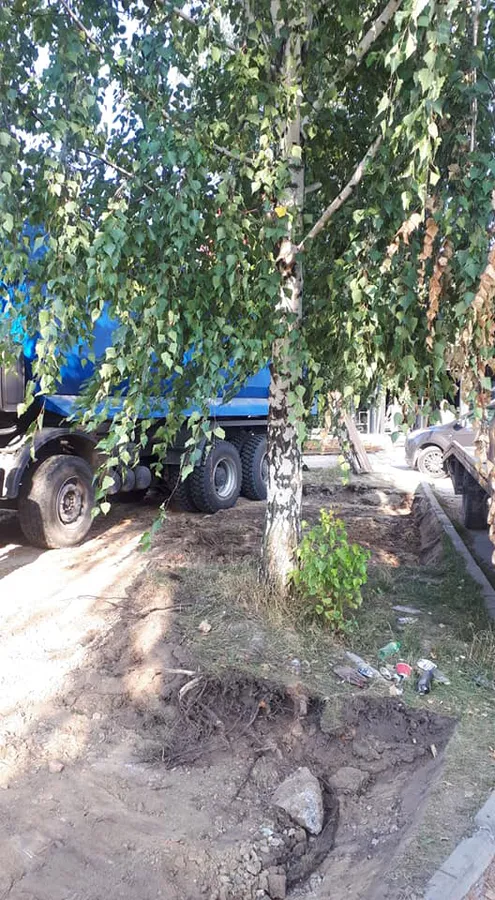 У Луцьку молодик без дозволів вирвав спецтехнікою дерева (фото)
