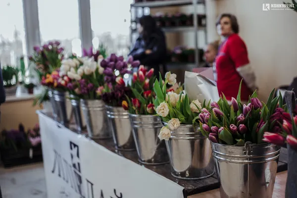 Armani, Dior та ванна у квітах: біля Луцька – pre-party «Волинської Голландії» (фото)