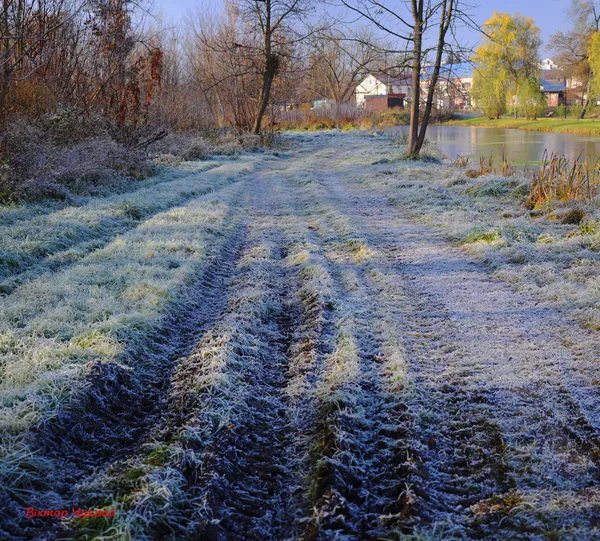 Луцький фотохудожник зазнімкував морозний ранок (фото)