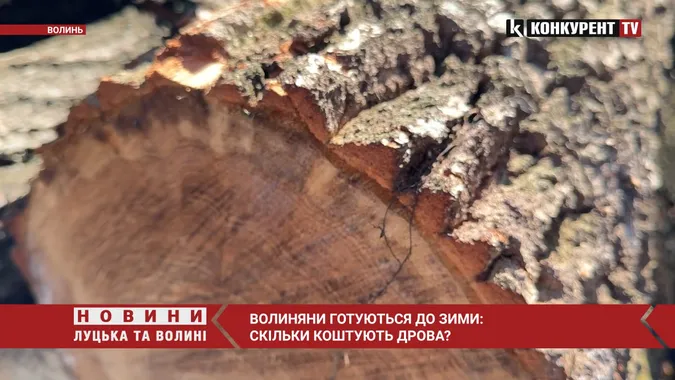 Зима близько: скільки на Волині коштують дрова (відео)