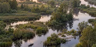 На Волині є місце, де важко порахувати річки: чим дивує волинська Амазонія