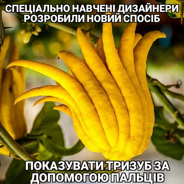 Мінкульт переплутав жест-тризуб з вагінально-анальним проникненням: добірка мемів