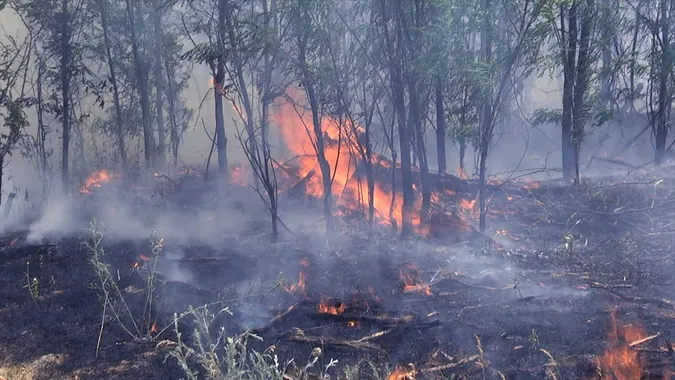 Палив траву – спалив ліс: волинянин піде під суд
