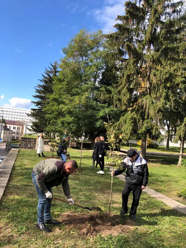 Парки, сквери, вулиці: у Луцькій громаді восени висадили 254 дерева та 285 кущів (фото)
