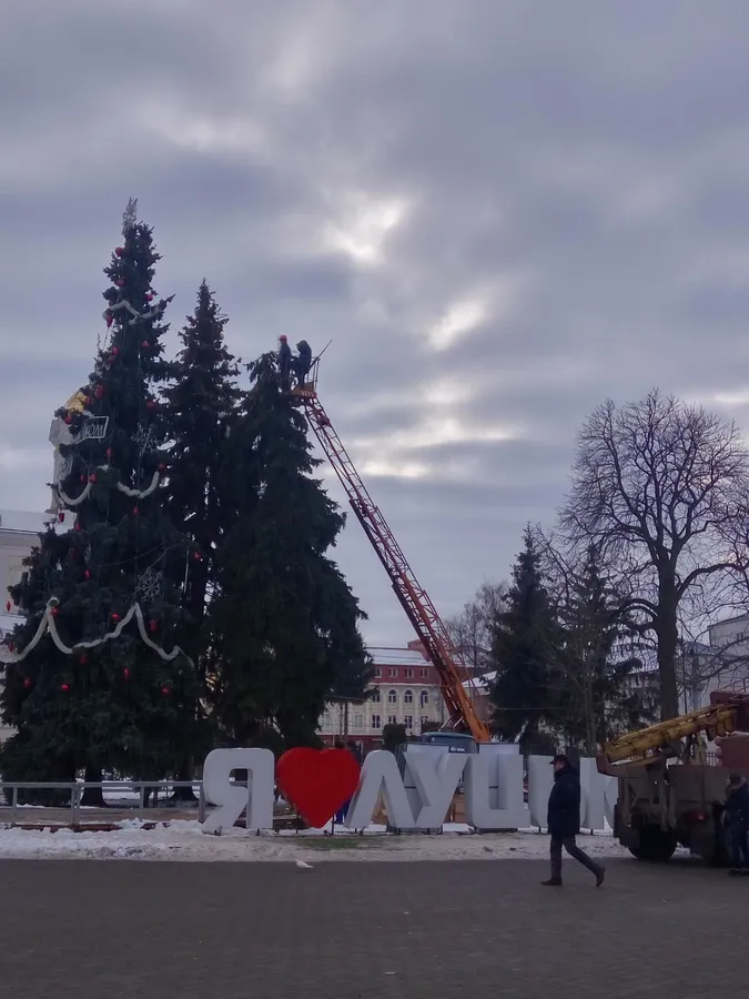 У Луцьку розбирають головні ялинки (фото)