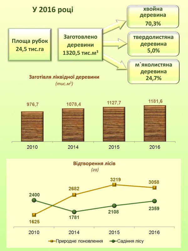 Підрахували, скільки на Волині лісів (інфографіка)