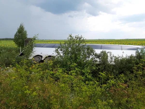 На Волині злетів у кювет автобус із білоруськими туристами (фото)