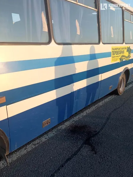 Пасажирів довозили попутки: біля Радехова зламався автобус «Ужгород – Луцьк» (фото)