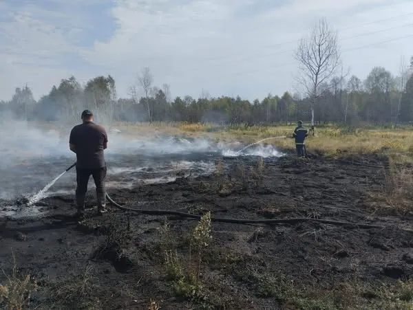 На Волині – масштабна пожежа: рятувальники, лісівники і місцеве населення гасять торф'яник (фото, відео)
