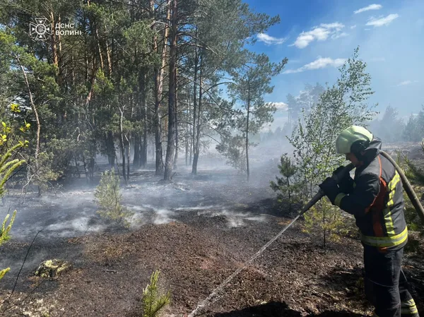 На Волині розгорілася суха трава біля лісу: рятувальники гасять осередки