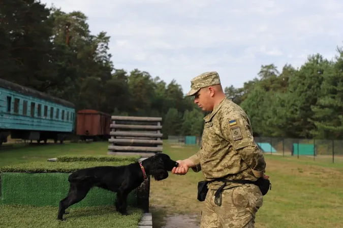 Пройшов гарячі точки, а тепер підкорює кінологію: історія прикордонника з Волині Богдана та Вулі (фото)