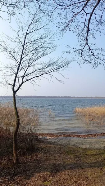 🌱Весняне пробудження: як Шацькі озера прокидаються від зимової сплячки (фото)
