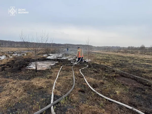 На Камінь-Каширщині рятувальники гасили торф'яник (фото)