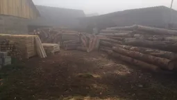 На Волині вилучили десять кубометрів незаконної лісопродукції (фото) 