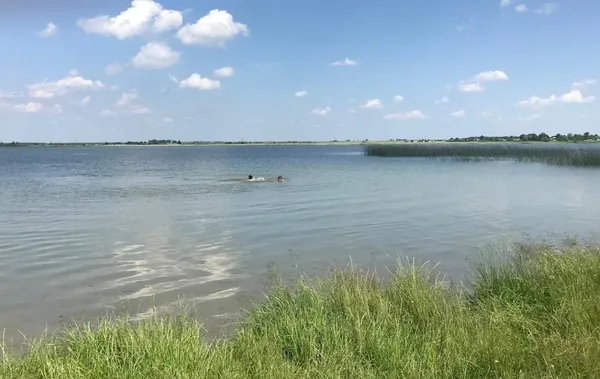 На Волині є моторошне озеро, у якому живе величезний сом-чудовисько з крокодилячою головою