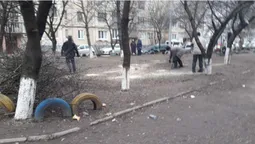 У луцькому дворі незаконно зрізали дерева (фото)