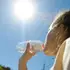 ☀️ Червень іде з рекордом: у Луцьку зафіксували аномальні +34,3°С
