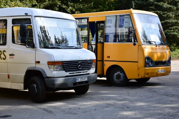 «Богдан»-мільйонник, пандуси та FREE WiFi: у Луцьку інспектували маршрутки
