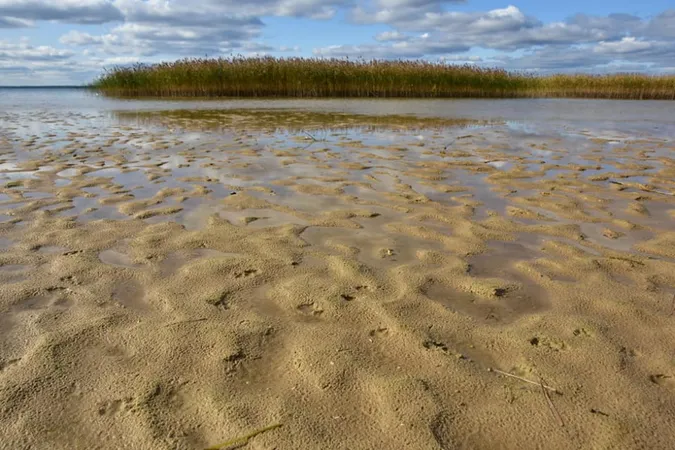 Човни на піску й порепане узбережжя: показали осінній Світязь (фото)