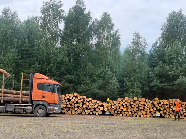 Підсумки 2024: велике інтерв'ю з головним лісівником Волині та Рівненщини Кватирком