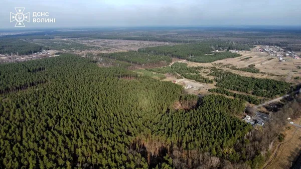 На Ковельщині найбільше упіймали паліїв сухостою (фото)