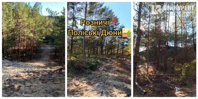 Волинські дюни: що це і де вони є (відео)