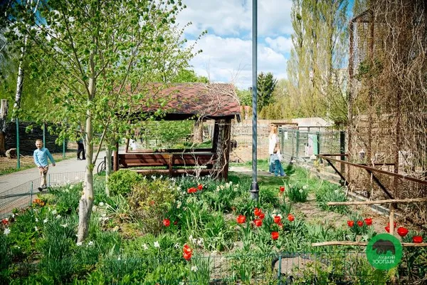 Луцький зоопарк працюватиме довше: новий графік (фото)