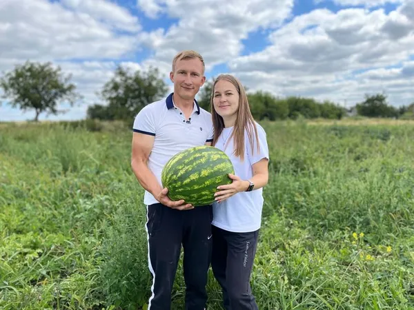 «Усі казали – не вийде»: волинянин вирощує 40 сортів кавунів (фото, відео)